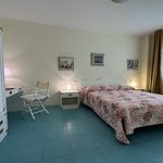 content-gallery-6-large