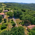 content-gallery-6-large