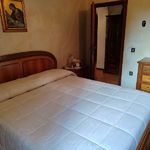 content-gallery-6-large