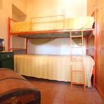 content-gallery-6-large