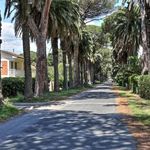 content-gallery-6-large