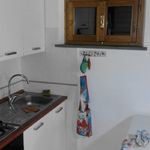 content-gallery-6-large