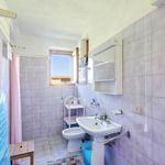 content-gallery-6-large