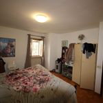 content-gallery-6-large