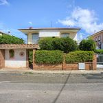 content-gallery-6-large