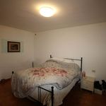 content-gallery-6-large