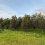 content-gallery-6-large