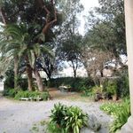 content-gallery-6-large