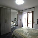 content-gallery-6-large