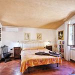 content-gallery-6-large