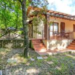 content-gallery-6-large