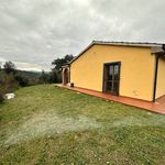 content-gallery-6-large