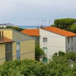 content-gallery-6-large