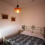 content-gallery-6-large