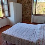 content-gallery-6-large