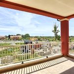 content-gallery-6-large