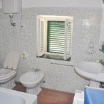 content-gallery-6-large