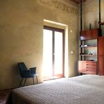 content-gallery-6-large