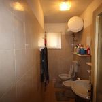 content-gallery-6-large