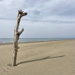 content-gallery-6-large