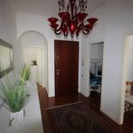 content-gallery-6-large