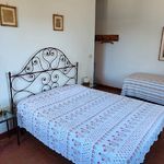 content-gallery-6-large