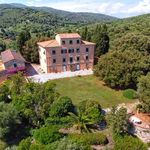 content-gallery-6-large