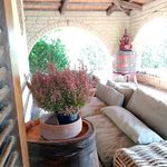 content-gallery-6-large