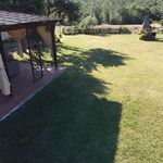 content-gallery-6-large