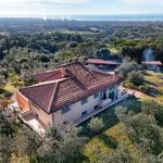 content-gallery-6-large