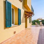 content-gallery-6-large