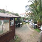 content-gallery-6-large