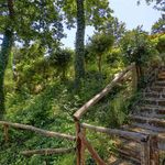 content-gallery-6-large