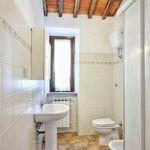 content-gallery-6-large