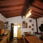 content-gallery-6-large