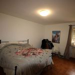 content-gallery-6-large