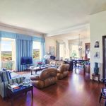 content-gallery-6-large