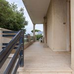 content-gallery-6-large