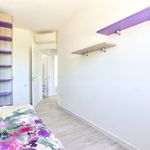 content-gallery-6-large