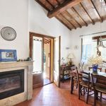 content-gallery-6-large