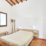 content-gallery-6-large