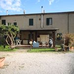 content-gallery-6-large