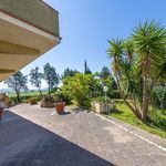 content-gallery-6-large