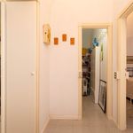 content-gallery-6-large