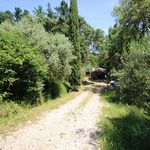 content-gallery-6-large