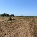 content-gallery-6-large