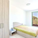 content-gallery-6-large