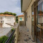 content-gallery-6-large