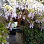 content-gallery-6-large